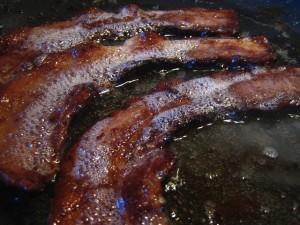 bacon-grease-biofuel[1]