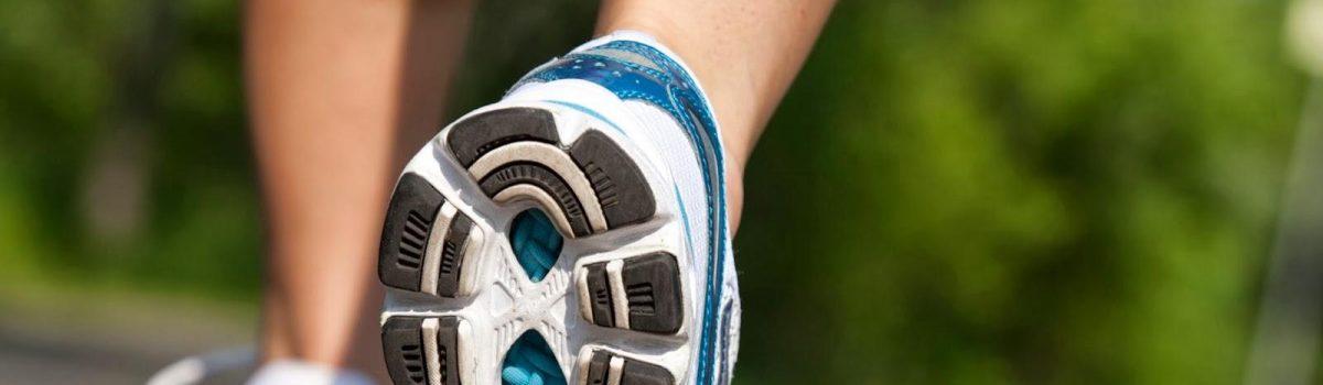 The Foot and ankle complex: understanding the science behind both movement and dysfunction