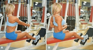 Seated_mid_row_exercise