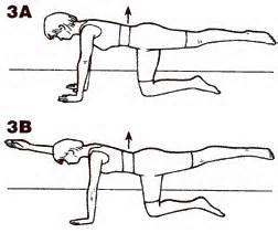quadruped_exercise